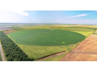 Tracts 3 & 4 - Edwards County, KS farmland - LAND AUCTION - 647+/- ACRES OFFERED IN 4 TRACTS IN RENO & EDWARDS COUNTY, KANSAS